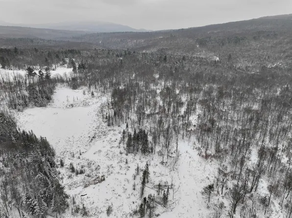 LOT 4 Lincoln Road, Ripton, VT 05766
