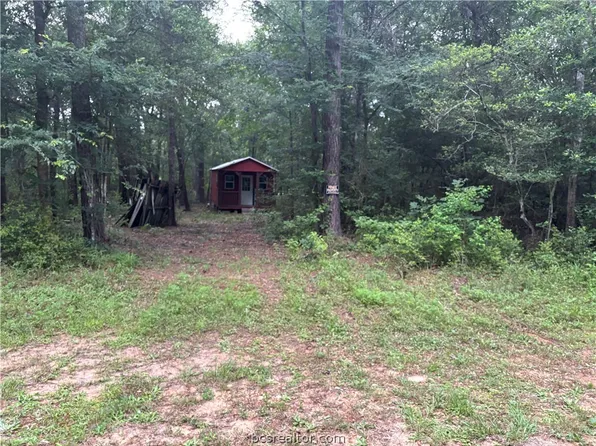 13785 County Road 201 Loop, Plantersville, TX 77363