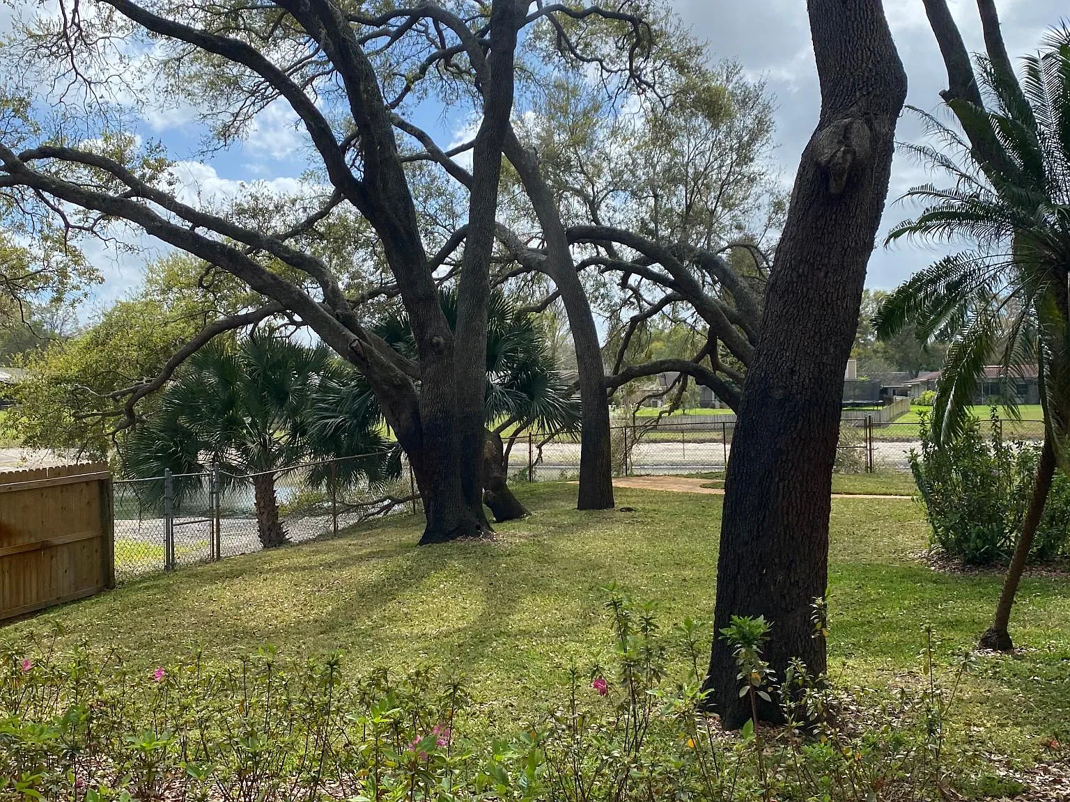 3 bed, 2300 sqft, $3,700 — Photo 2