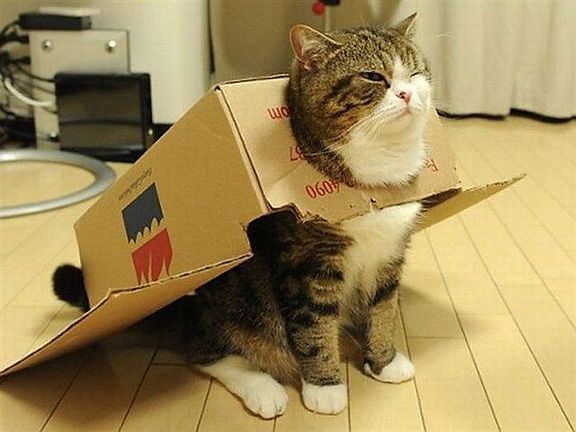 WE ARE PET FRIENDLY!