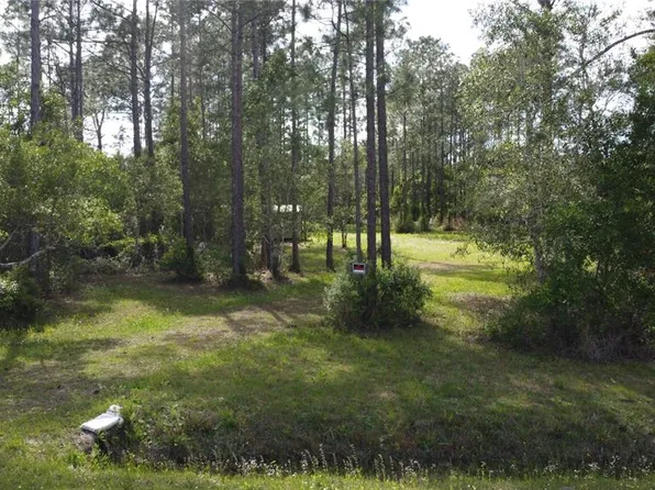 10205 Baylor Ave, Hastings, FL 32145