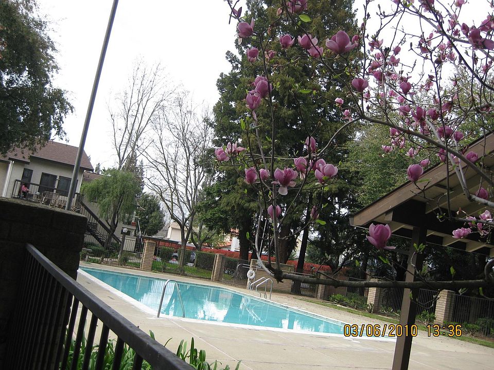 Community swimming pool