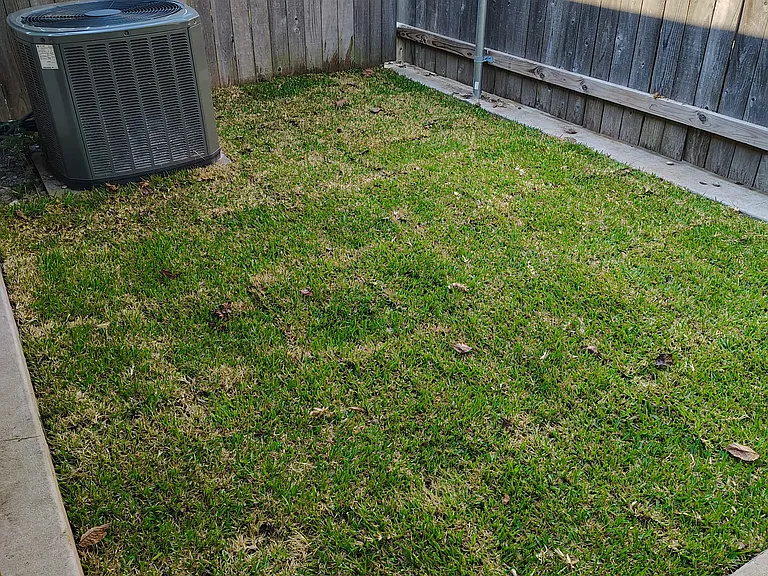 812 N Broughton St — Photo 3