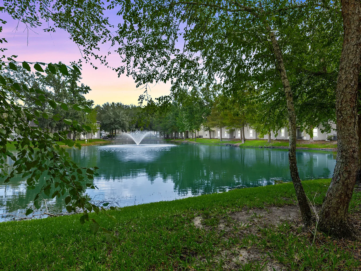 3 bed, 1335 sqft, $1,299 — Photo 1