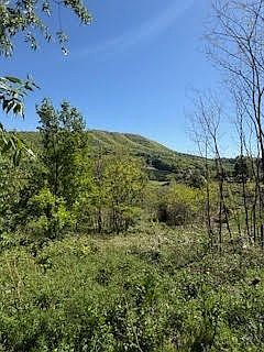 5th image of TBD Westwood Acres Drive