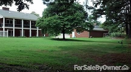 View of back yard