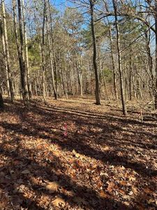 LOT 2 Lower River Rd NW, Charleston, TN, 37310