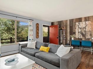 130 Evergreen Rd, Dillon, CO 80435