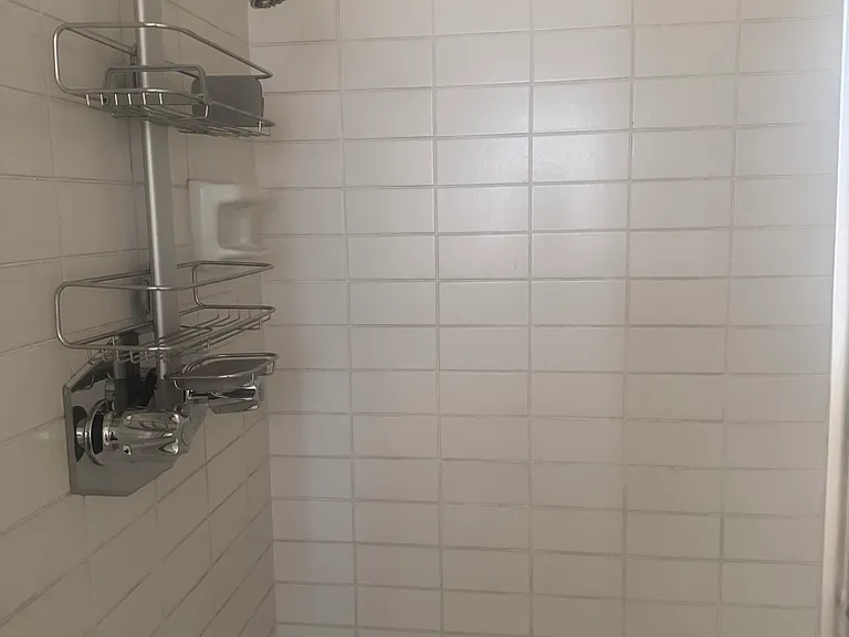 Bathroom shower/tub combo
