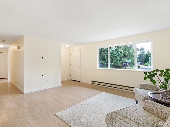 Laminate flooring thru out