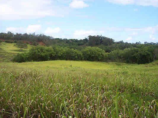 2nd image of Mana Pl Lot 19C