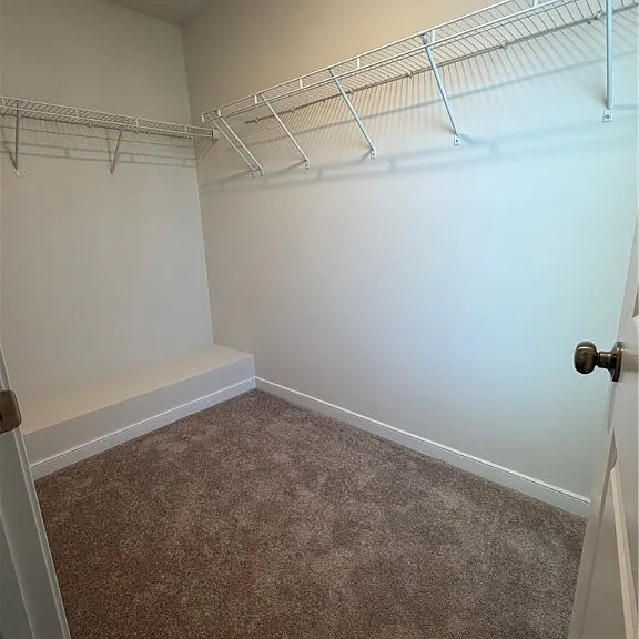 4184 Park Trail Dr — Photo 14