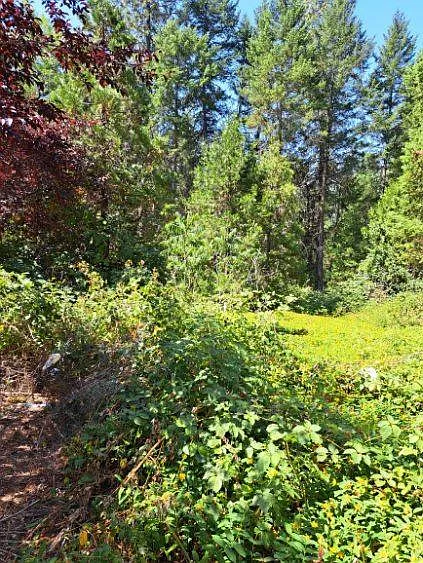 132 Draper Valley Rd photo 1