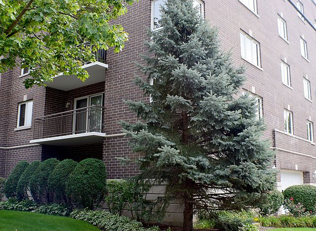 1st image of 1327 Brown St Unit 202