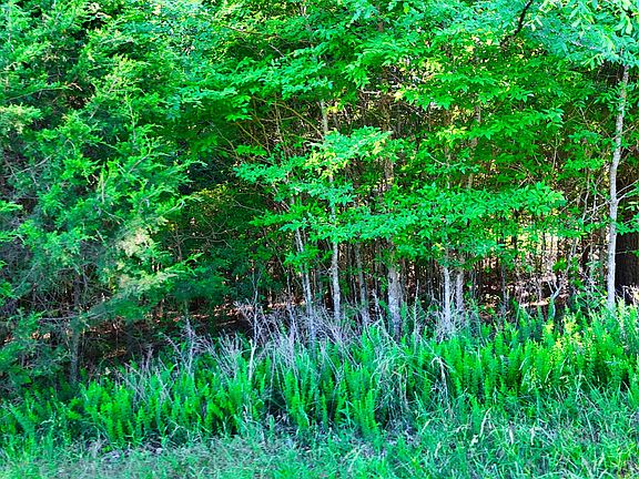 5th image of 2 Lakewood Lake Ln