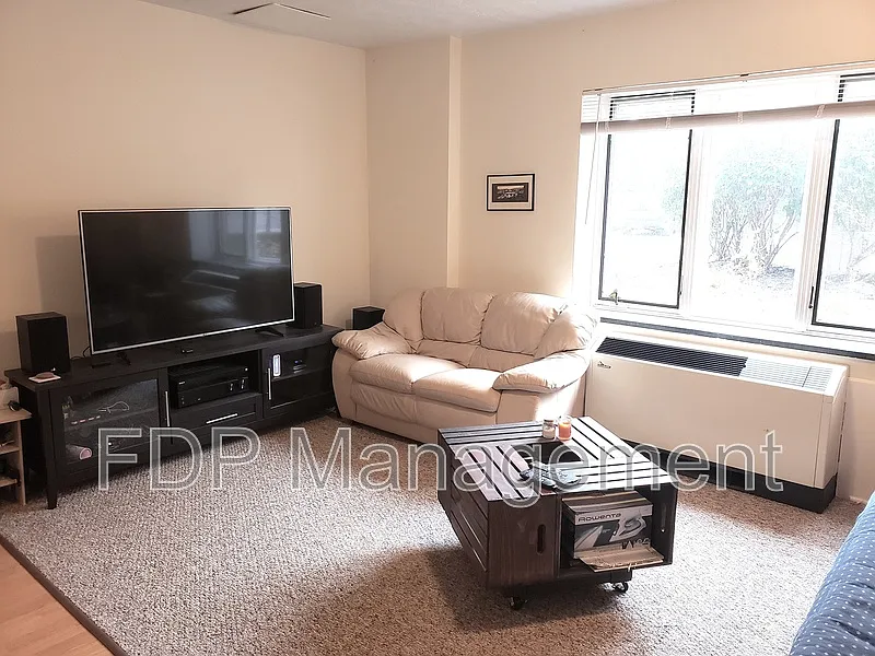 1 bed, 1.0 bath, 468 sqft, $1,030 — Photo 3