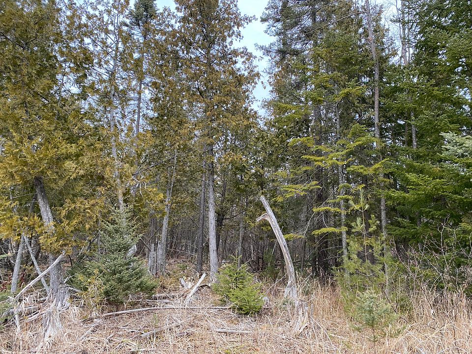 2nd image of 9082 Curtis Dr