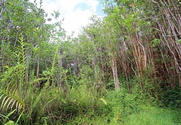 4th image of Road 6 Ooaa Lot 4422