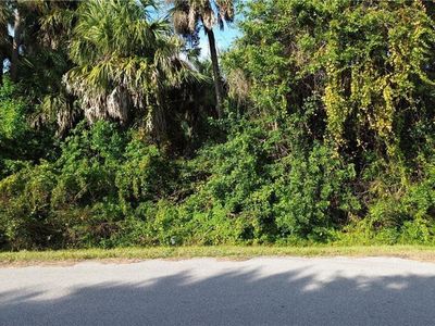 Palestine Rd LOT 11, North Pt, FL, 34288