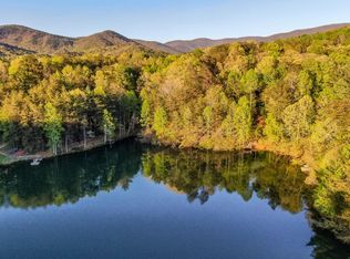 446 Skyview Dr, Ellijay, GA 30536