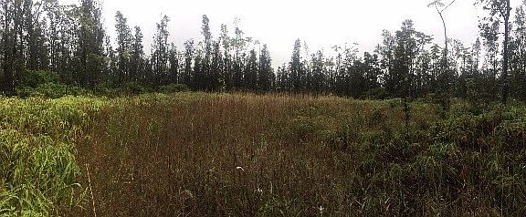 2nd image of 16-651 Aulii St Lot 16