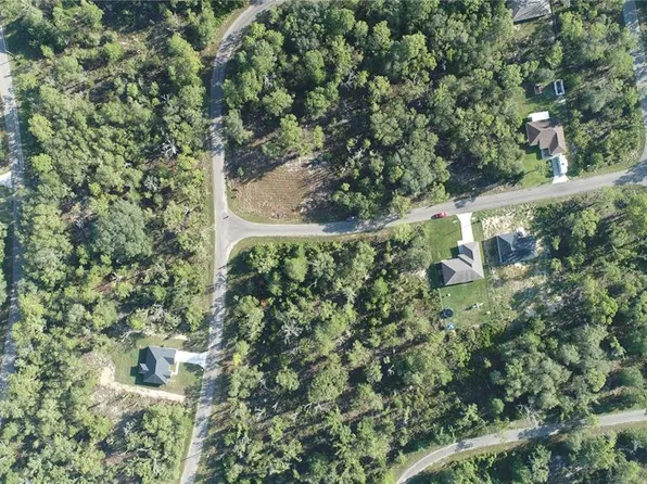 8 Guava Place Pass #8, Ocklawaha, FL 32179