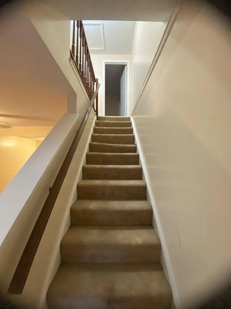 2 bed, 1.5 bath, 920 sqft, $1,450 — Photo 4