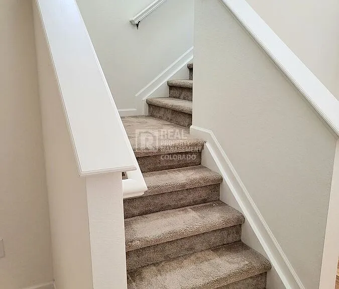 4650 Basalt Ridge Cir — Photo 12