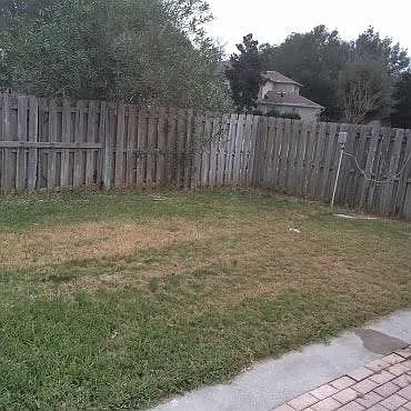Eastside/Backyard