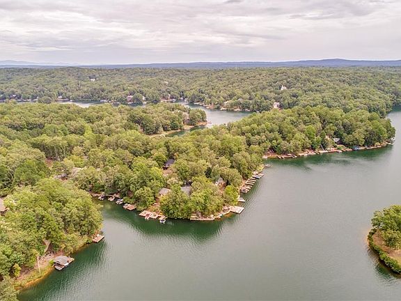 Image 2: Aerial View of Property Shoreline