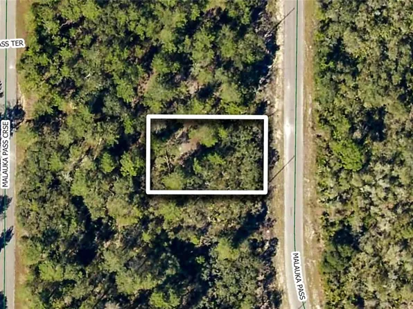 TBD MALAUKA PASS LOT 26, OCKLAWAHA, FL 32179