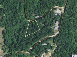 115 Lakeview Ct, Mammoth Cave, KY 42259
