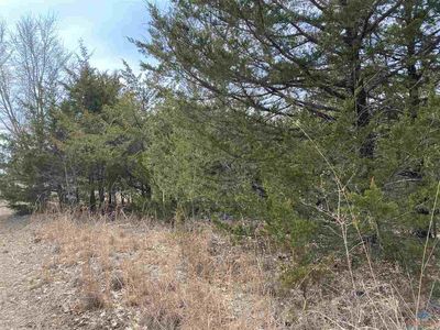LOT 27 Daffodil Dr, Warsaw, MO, 65355