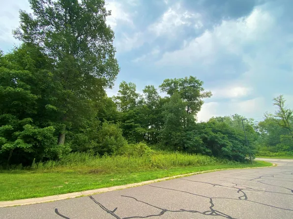 LOT 1 Royal Oak Dr, Balsam Lake, WI 54810