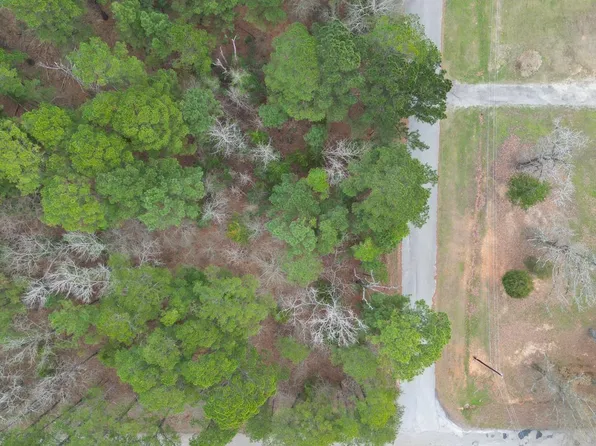 000 Sunshine Ln, Troup, TX 75789