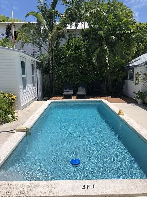 1 bed, 368 sqft, $2,675 — Photo 3