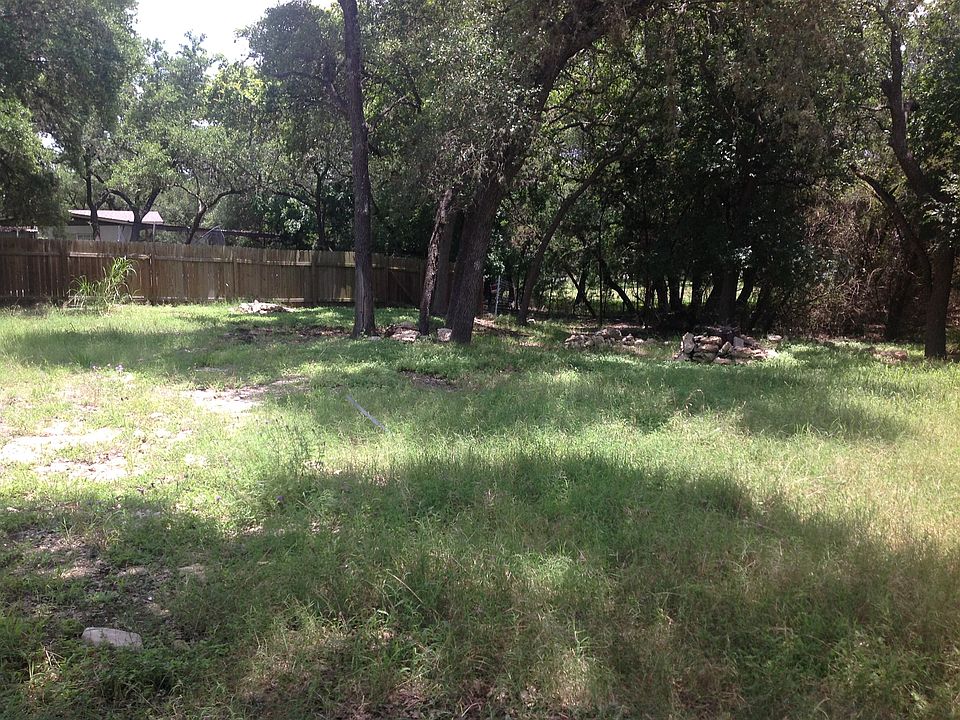 Native trees