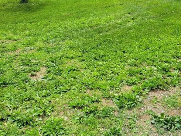 101 Bobcat Rd, Carlisle, PA 17015