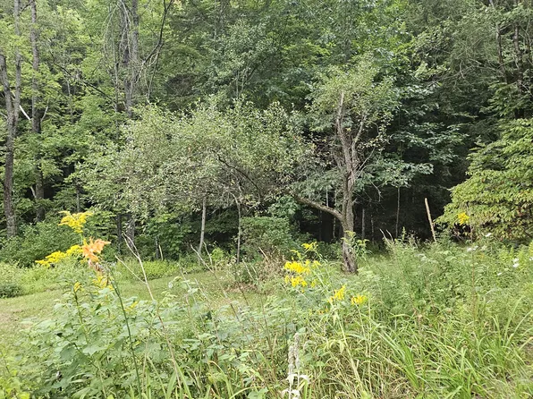 52 Old Brook Rd, Middlesex, VT 05602