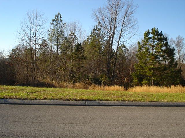 1st image of 216 Promise Heights Dr