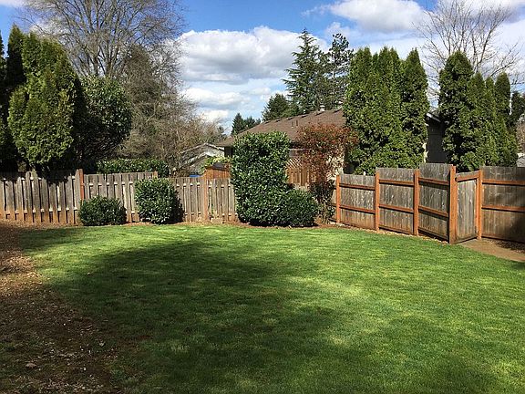 Back yard looking north
