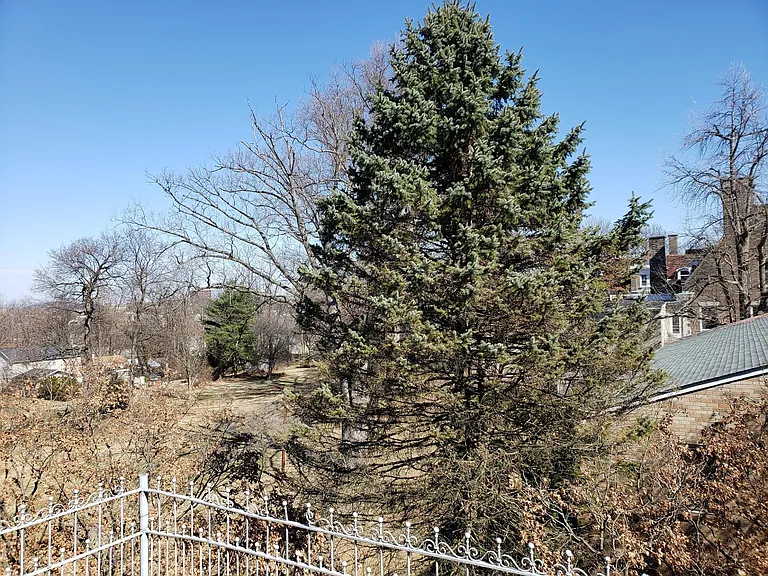 557 W 3rd St #J — Photo 14