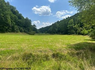 246 Stiles Fork Rd, Metz, WV 26585