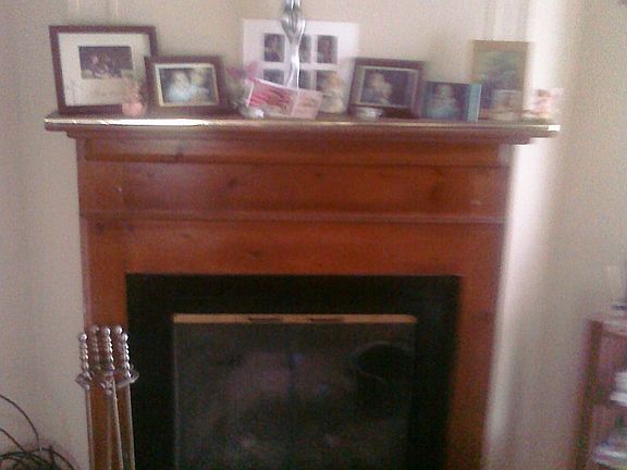 Fireplace in the living room