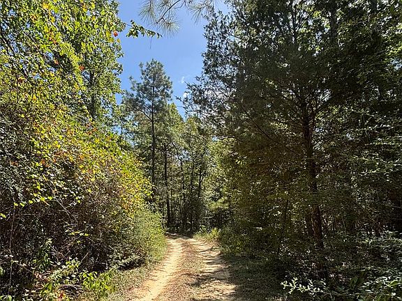 3rd image of Mount Sinai Rd E