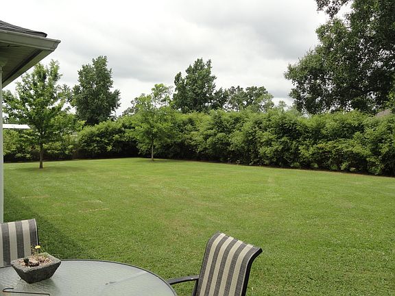 back yard from the N