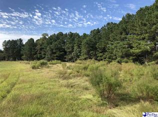 Bud Graham Rd, Galivants ferry, SC 29544