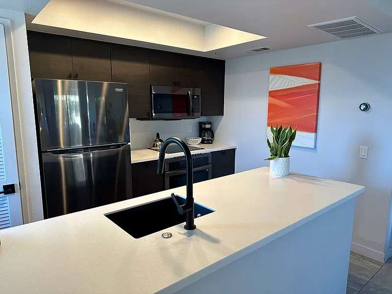 222 N Calle El Segundo #522 — Photo 14