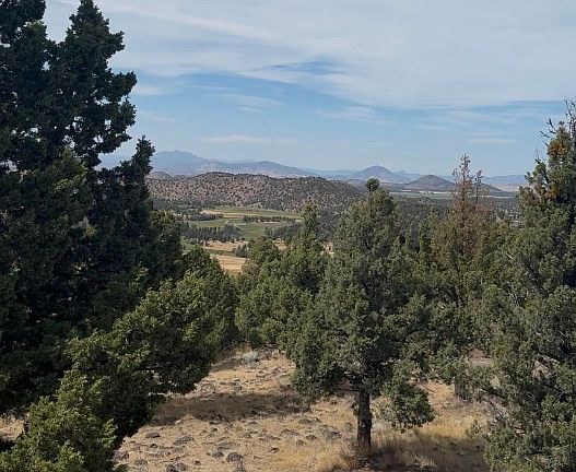 4th image of 236 & 237 Stone Crest Dr