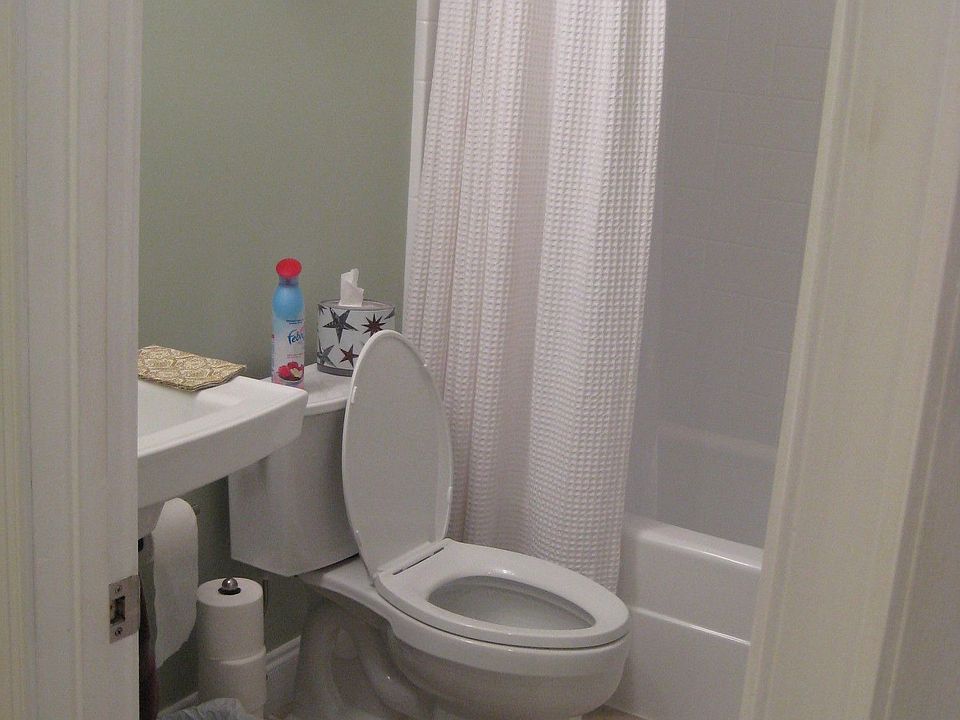 Newly remodeled guest bath